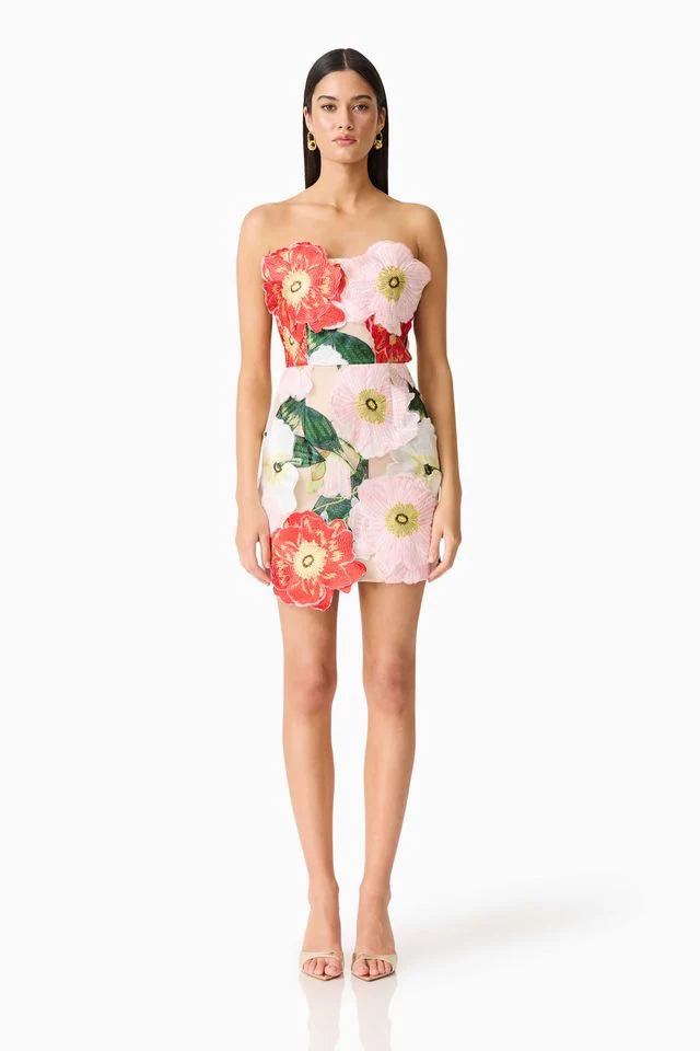 Elliatt Solara Mini Dress - Red & Pink Multi