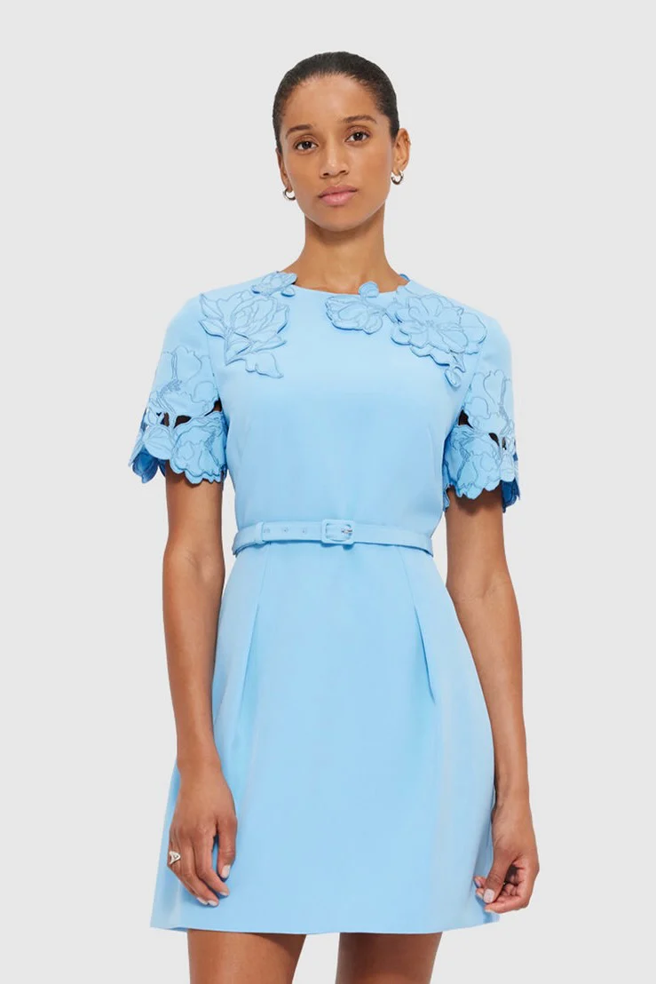 Leo Lin Aurélie Appliqué Short Sleeve Mini Dress - Cornflower Blue - Image 4