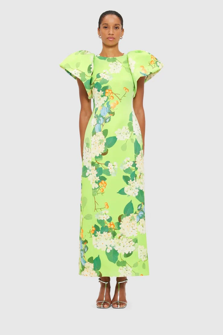 Leo Lin Lucinda Printed Maxi Dress - Hydrangea in Lime