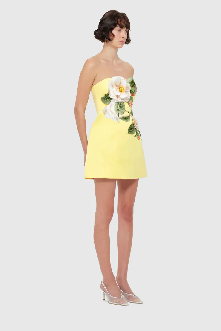Leo Lin Rosario Appliqué Bustier Mini Dress - Sorbet Yellow - Image 4