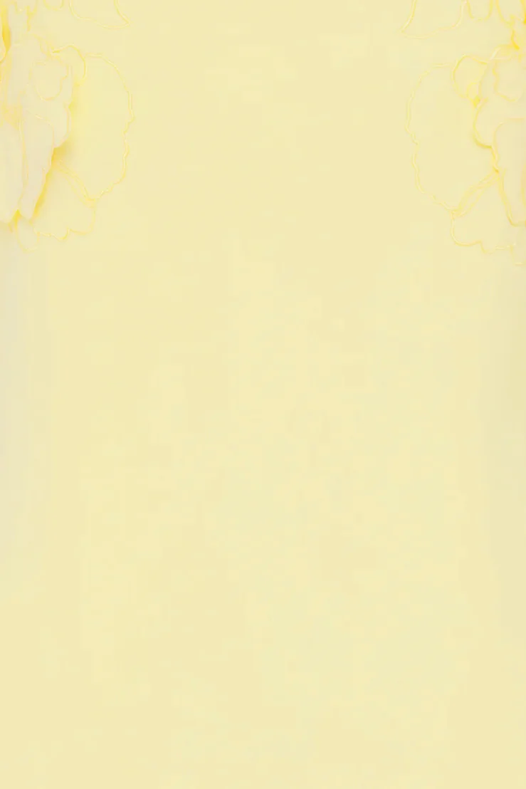 Leo Lin Solene Appliqué Maxi Dress - Sorbet Yellow - Image 7