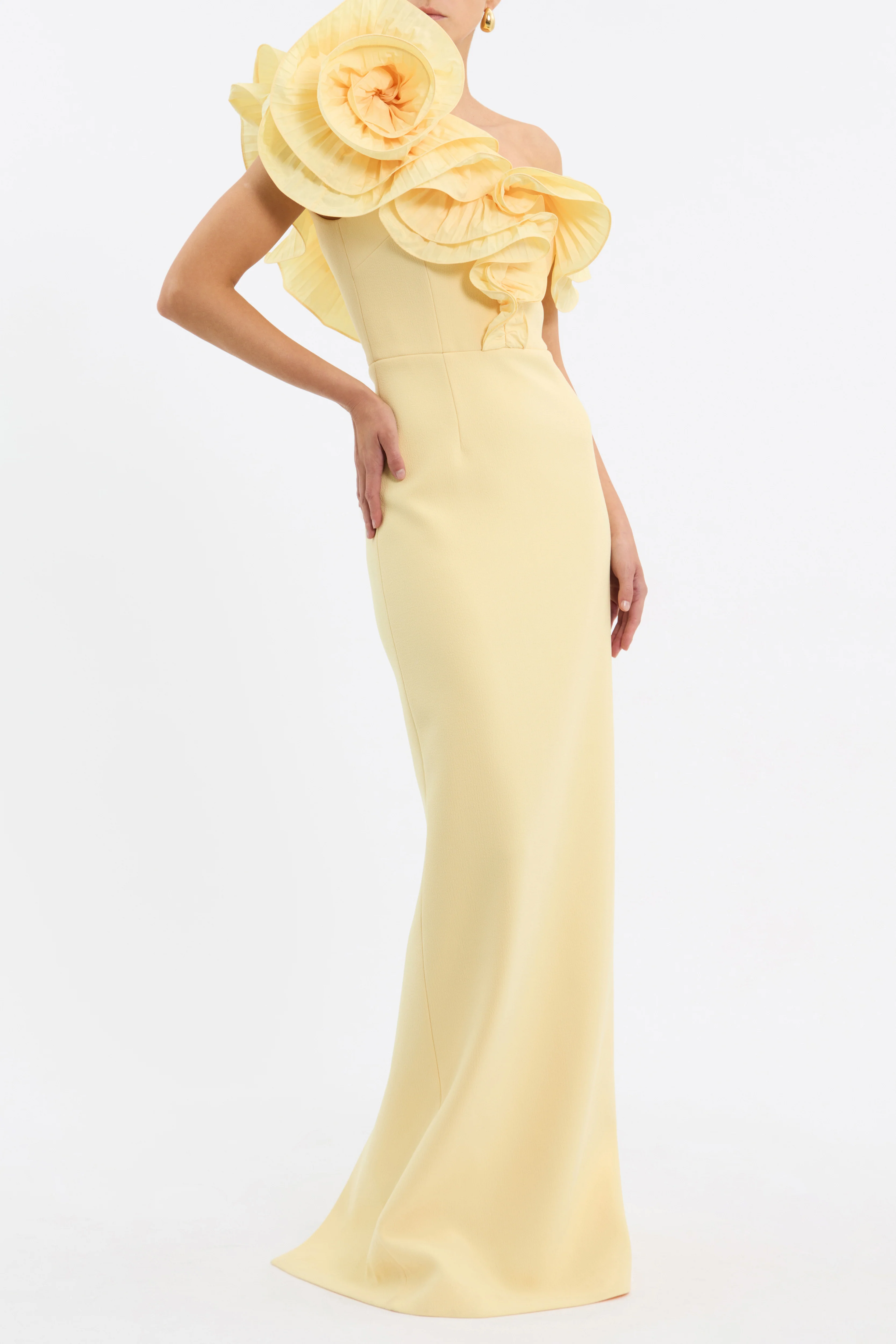 Rebecca Vallance Lulu Gown - Popcorn - Image 3